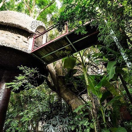 Dao Anh Khanh Tree House Ханой Екстериор снимка