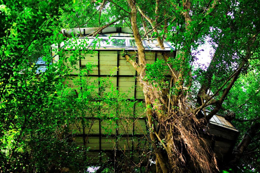 Dao Anh Khanh Tree House Ханой Стая снимка