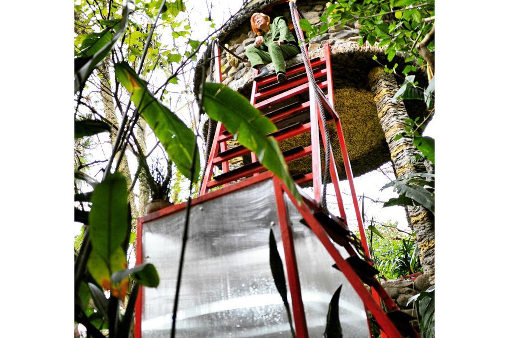 Dao Anh Khanh Tree House Ханой Стая снимка