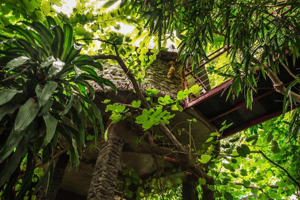 Dao Anh Khanh Tree House Ханой Екстериор снимка