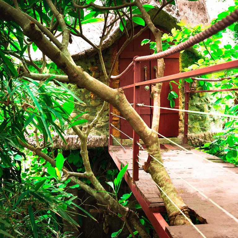 Dao Anh Khanh Tree House Ханой Екстериор снимка