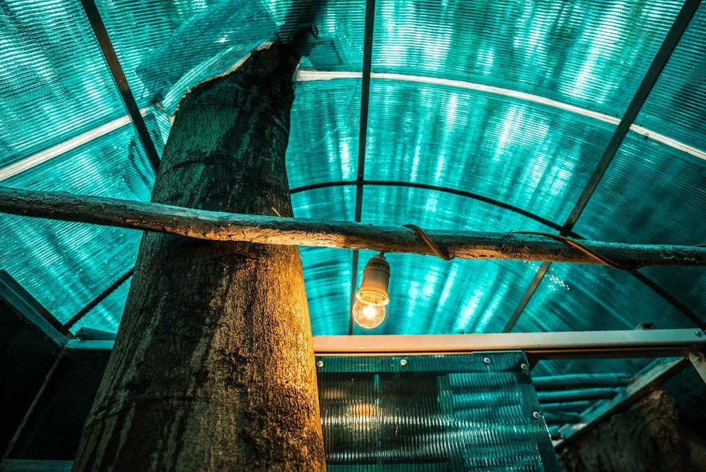 Dao Anh Khanh Tree House Ханой Екстериор снимка