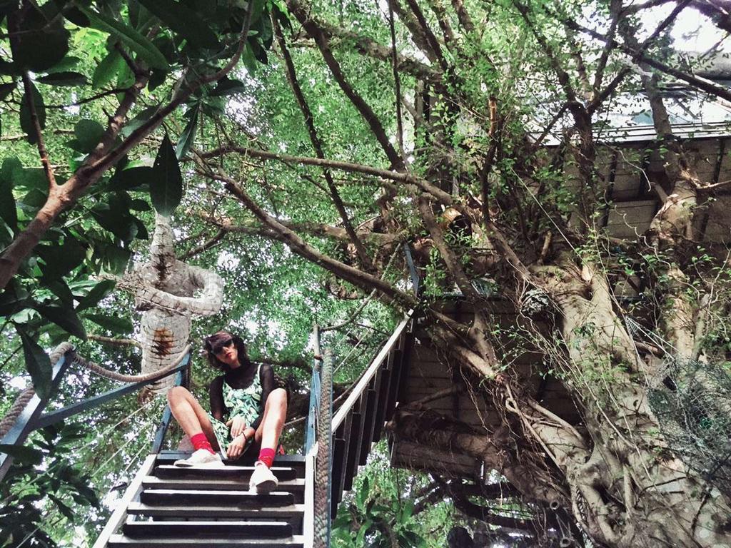 Dao Anh Khanh Tree House Ханой Екстериор снимка