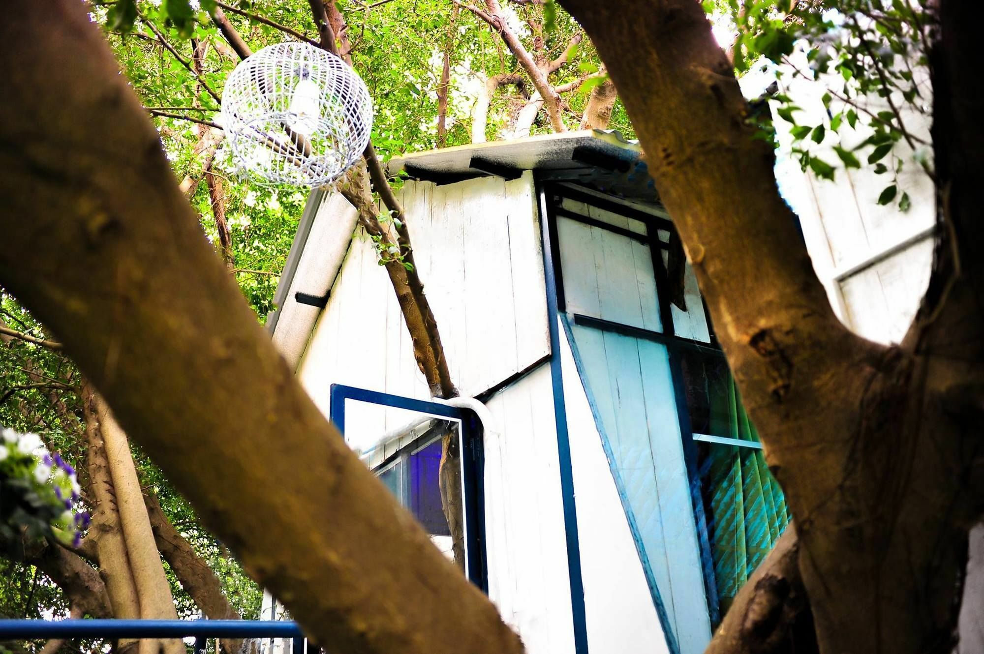 Dao Anh Khanh Tree House Ханой Екстериор снимка