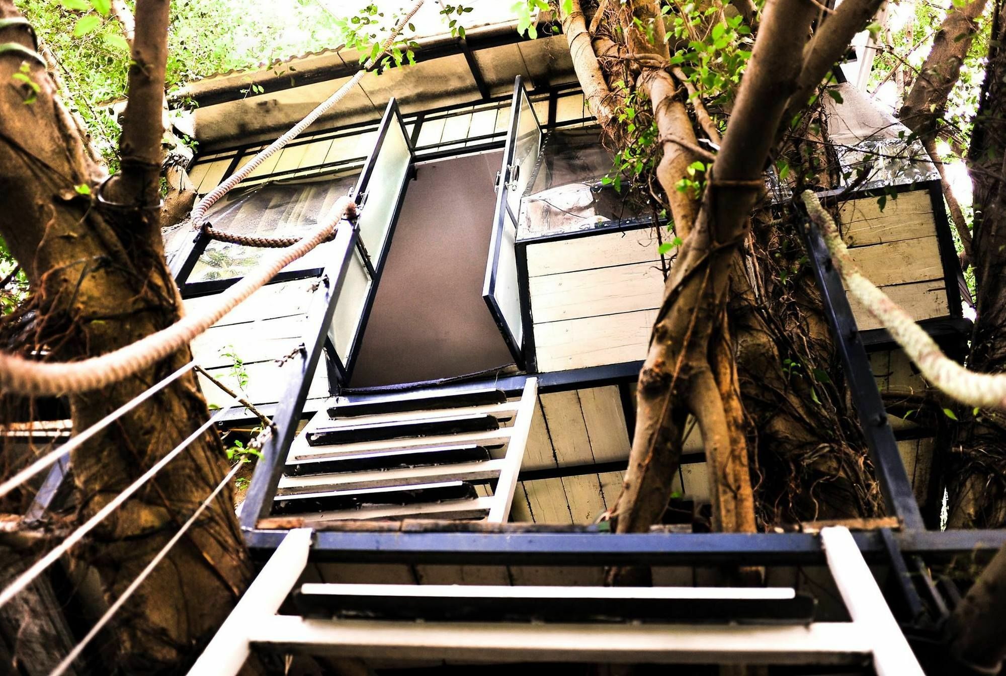 Dao Anh Khanh Tree House Ханой Екстериор снимка